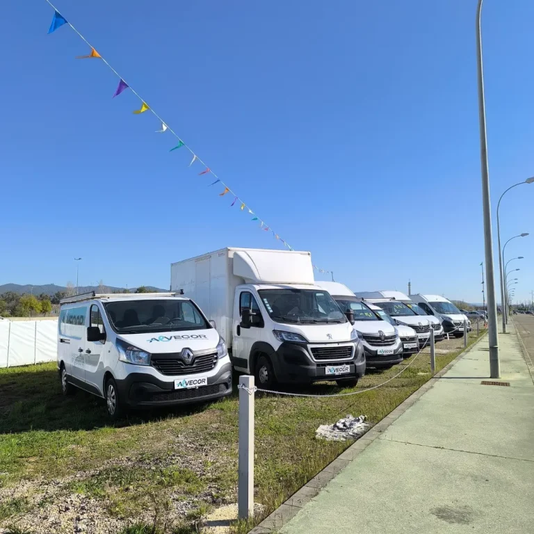 Diseño sin título - 2025-11-05T123457.505